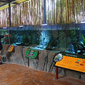 Rivers of the World - Congo River