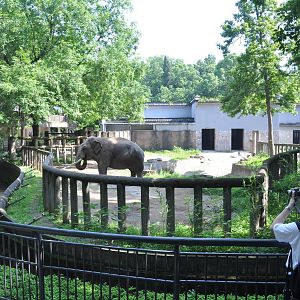 Elephant enclosure