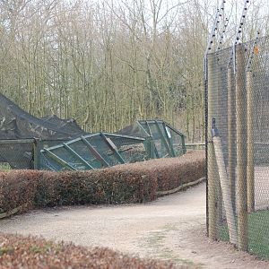 Winter Weather Damage