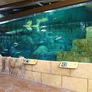 Rivers of the World - River Nile