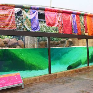 Rivers of the World - Ganges River