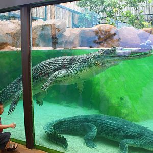 Rivers of the World - Ganges River