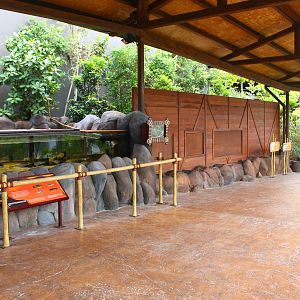 Rivers of the World - Murray River