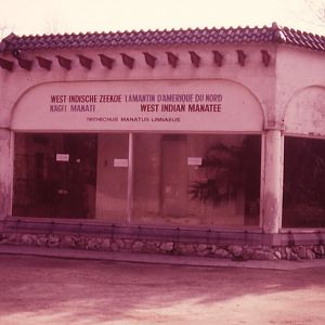 Manatee enclosure - 1984