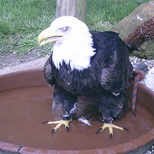 norfolk april 2006 023