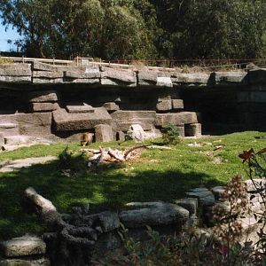 Grizzly Bear Grottos