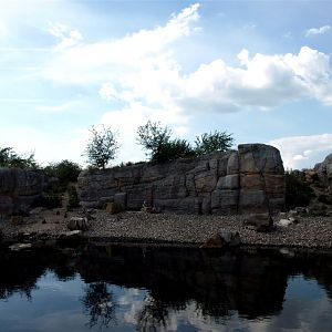 Emmen Zoo - Playa Pengüinos