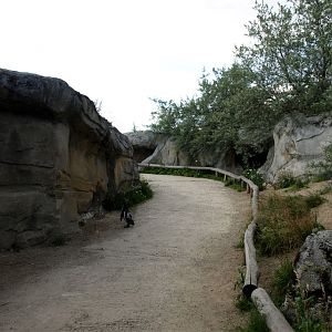 Emmen Zoo - Playa Pengüinos