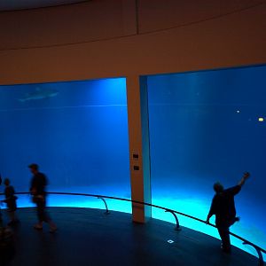 Emmen Zoo - Biochron