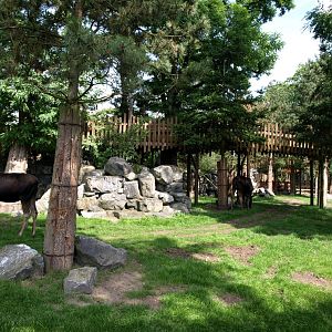 Emmen Zoo - Wild West