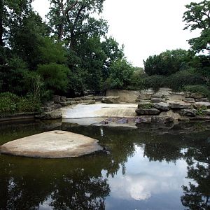 Emmen Zoo - Hippo enclosure