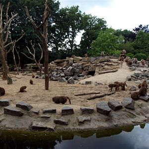 Emmen Zoo -