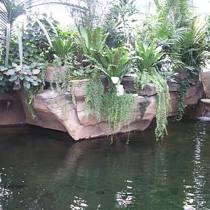 zoo trip Europe 2008