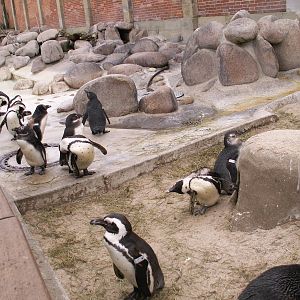 zoo trip Europe 2008