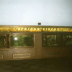 African rivers Tanks