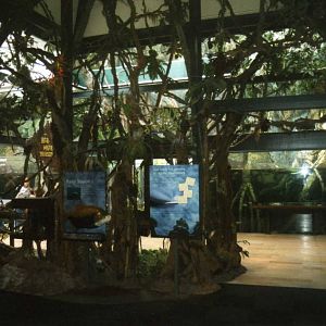 Amazon River Exhibit