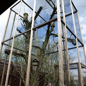 Skaerup Zoo - Chipmunk exhibit