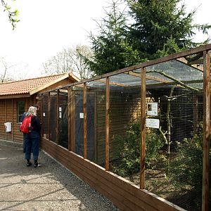 Skaerup Zoo - Tamarin exhibits