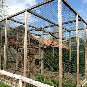 Skaerup Zoo - Capuchin exhibit