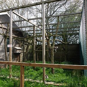 Skaerup Zoo - Lemur exhibit