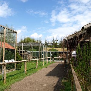 Skaerup Zoo - Monkey exhibits