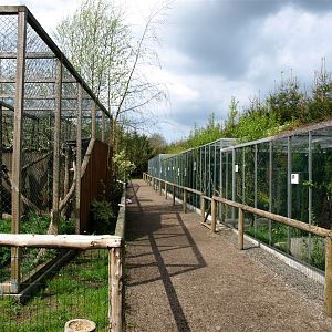 Skaerup Zoo - Aviaries