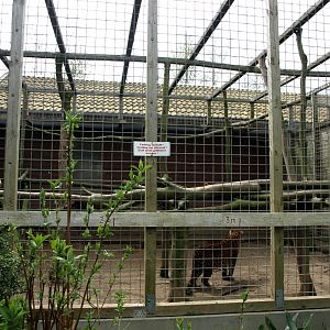 Skaerup Zoo - Old leopard exhibit