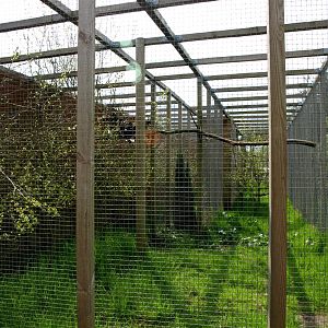 Skaerup Zoo - Hornbill aviary