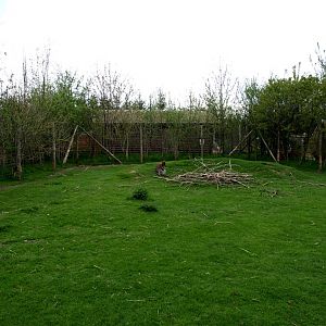 Skaerup Zoo - Wallaby exhibit