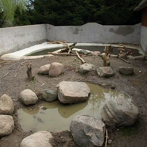 Skaerup Zoo - Beaver exhibit