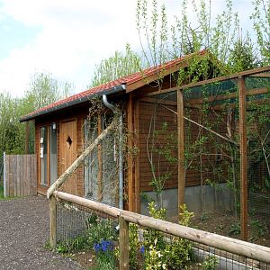 Skaerup Zoo - Marmoset exhibits