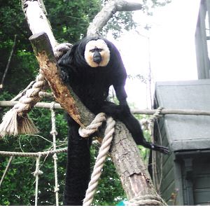 What are you looking at?