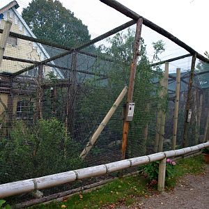 Odsherreds Zoo - Marmoset/tamarin exhibits