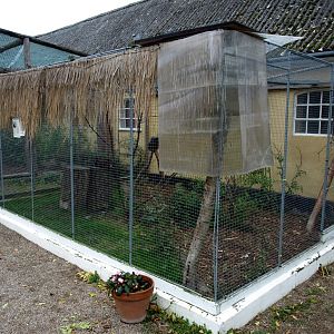 Odsherreds Zoo - Lemur exhibit