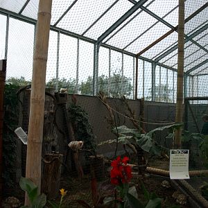 Odsherreds Zoo - Silvery marmoset exhibit