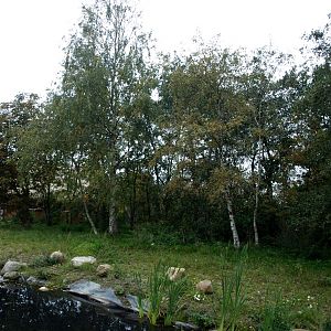 Odsherreds Zoo - Monkey island