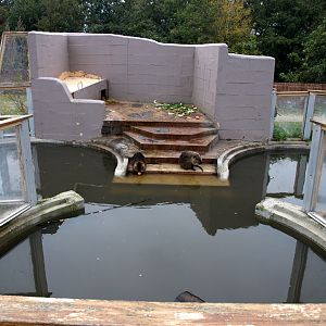 Odsherreds Zoo - Nutria exhibit