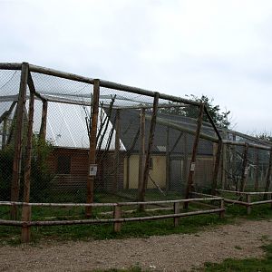 Odsherreds Zoo - Monkey House