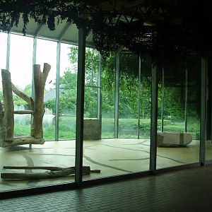 Augsburg Zoo - Lion indoor exhibit