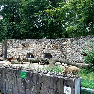 Augsburg Zoo - Brown bear exhibit
