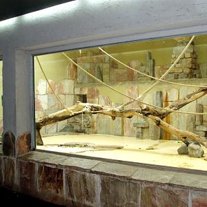 Augsburg Zoo - Chimpanzee grotto