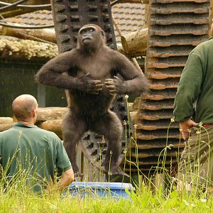 SO WHOSE IN CHARGE HERE?