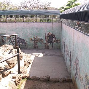 chimpanzee exhibit