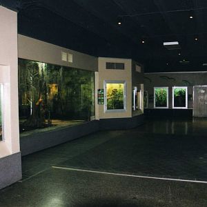Reptile House Inside