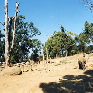 Oakland zoo-Elephant exhibit