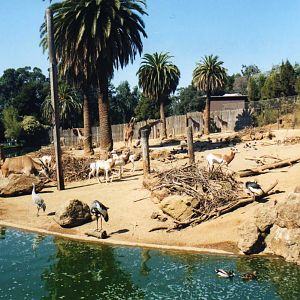 Oakland Zoo-Africa Exhibit