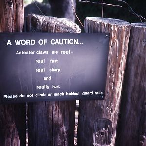 Giant Anteater Sign - 1988
