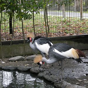 Taipei zoo