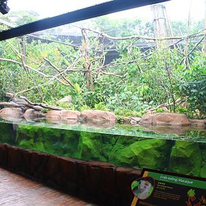 Rivers of the World - Mekong River