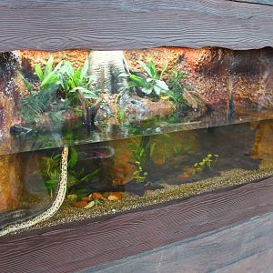 Rivers of the World - Mekong River